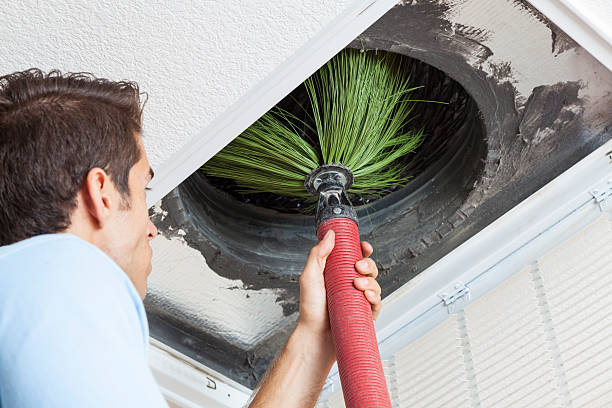 Best Air Duct Mold Removal  in Mooreville, MS